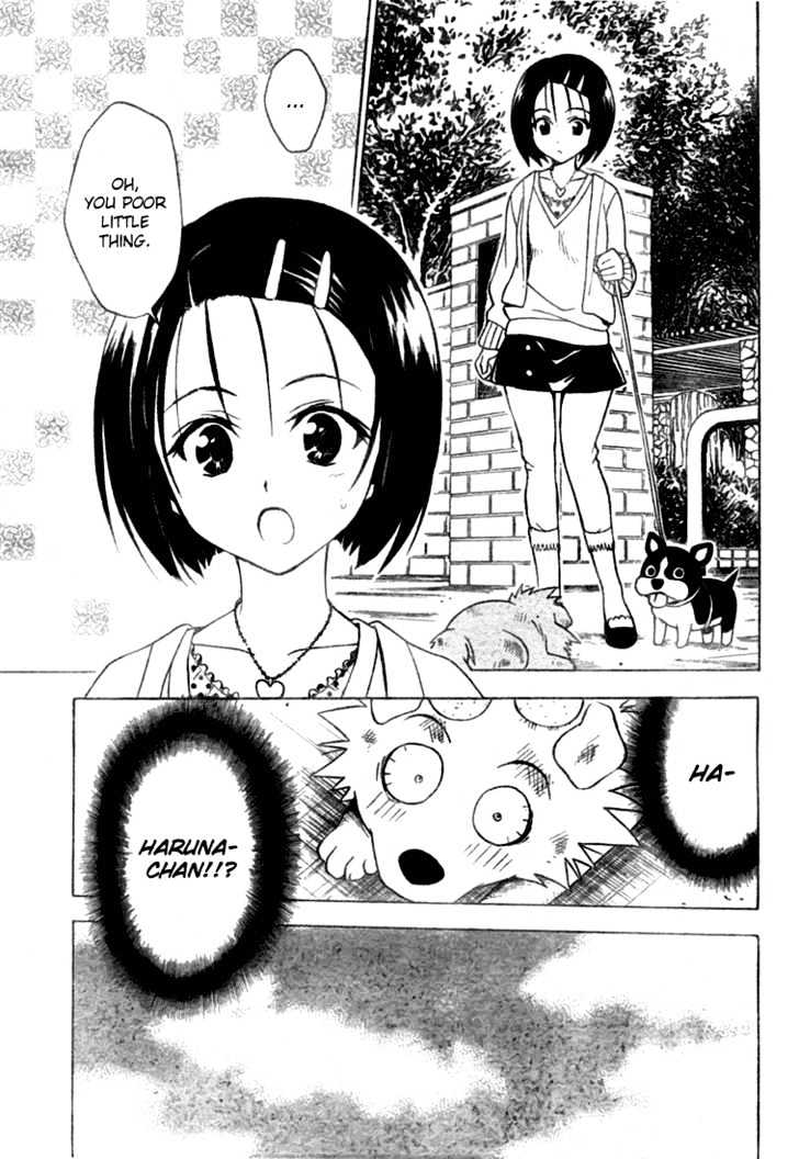 To-Love-Ru - Vol.5 Chapter 43 : Wan-Derful Life