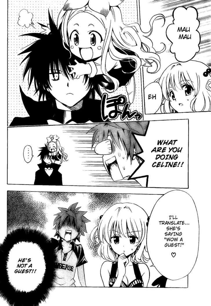 To-Love-Ru - Vol.17 Chapter 150 : The Determined Cat