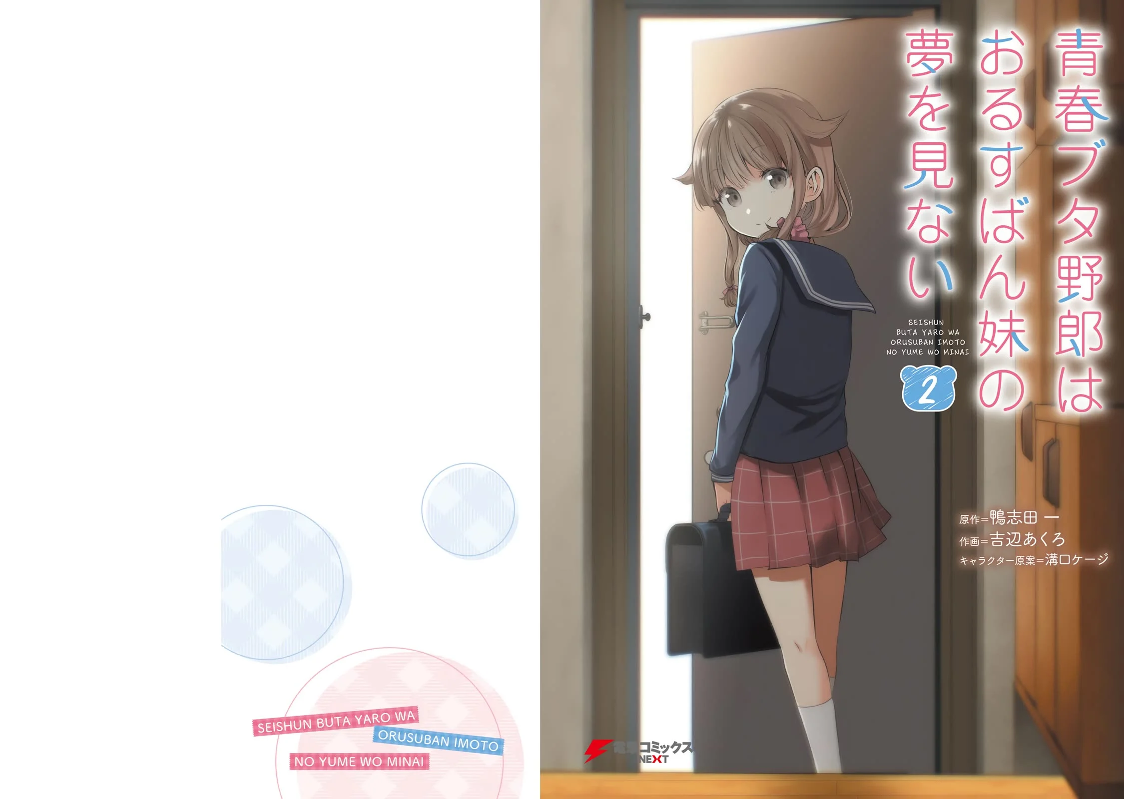 Seishun Buta Yarou Wa Orusuban Imouto No Yume Wo Minai - Chapter 12.5