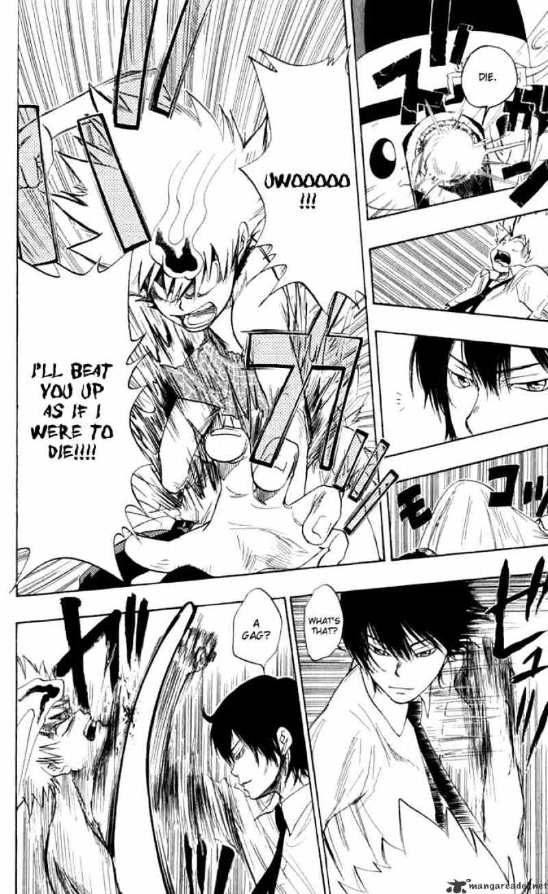 Kateikyoushi Hitman Reborn! - Chapter 16 : Hibari Kyoya