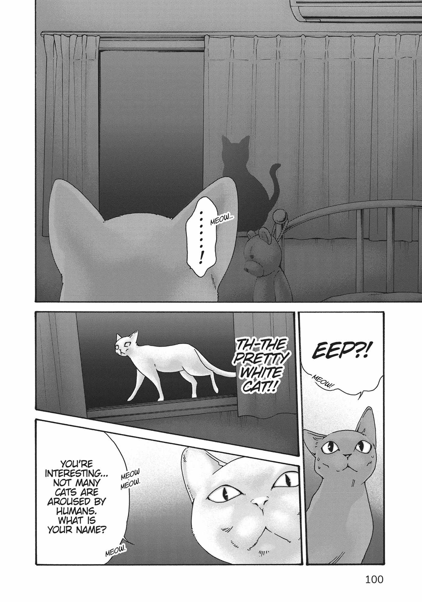 Joshi Ryou Neko No Tama-San - Chapter 49