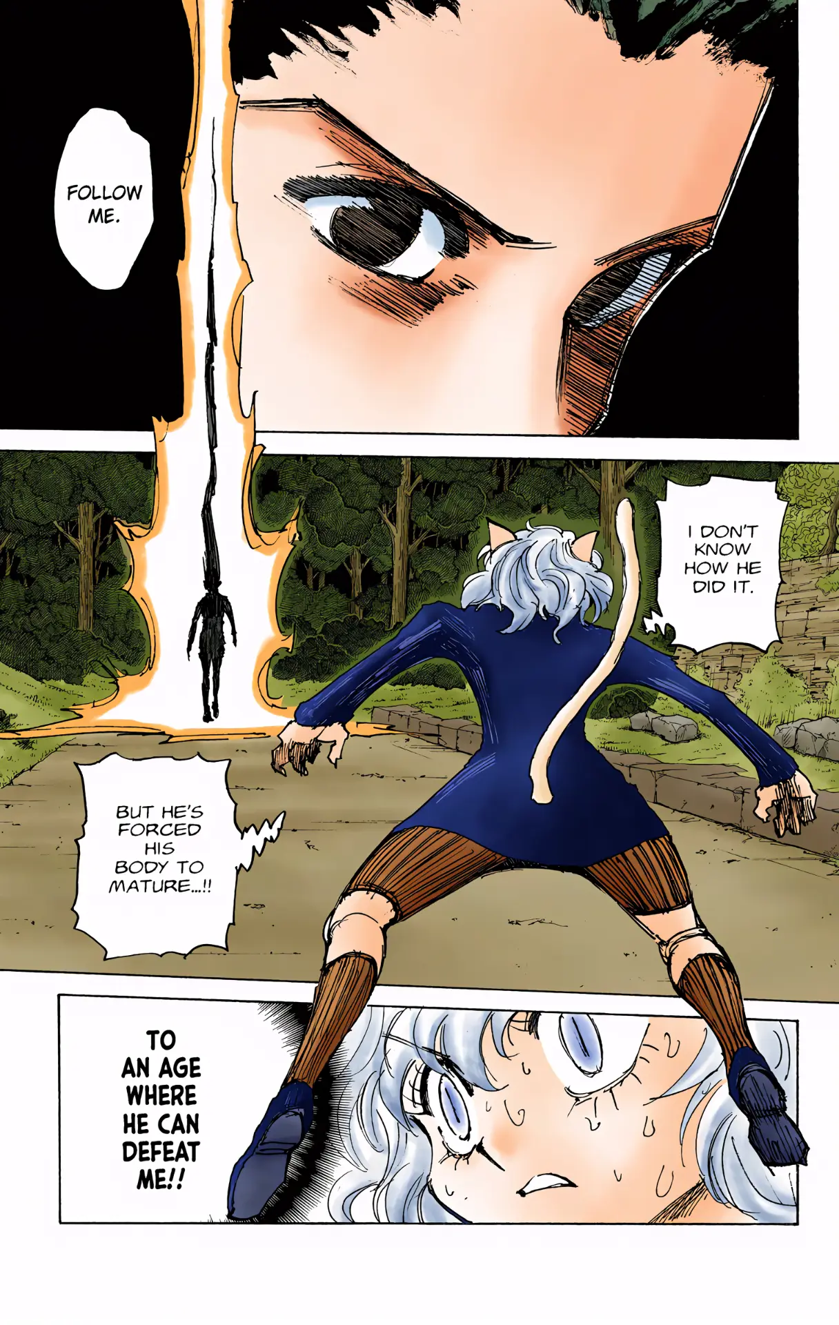 Hunter X Hunter Full Color - Vol.29 Chapter 306: Relief