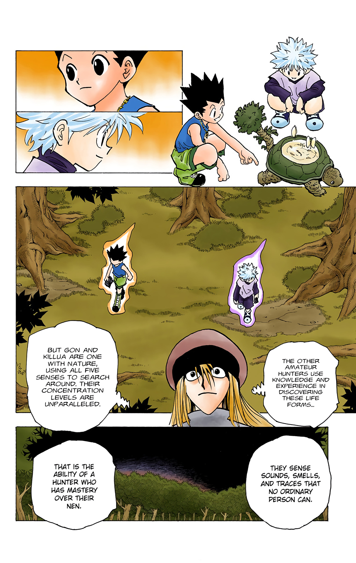 Hunter X Hunter Full Color - Vol.18 Chapter 186: The Queen