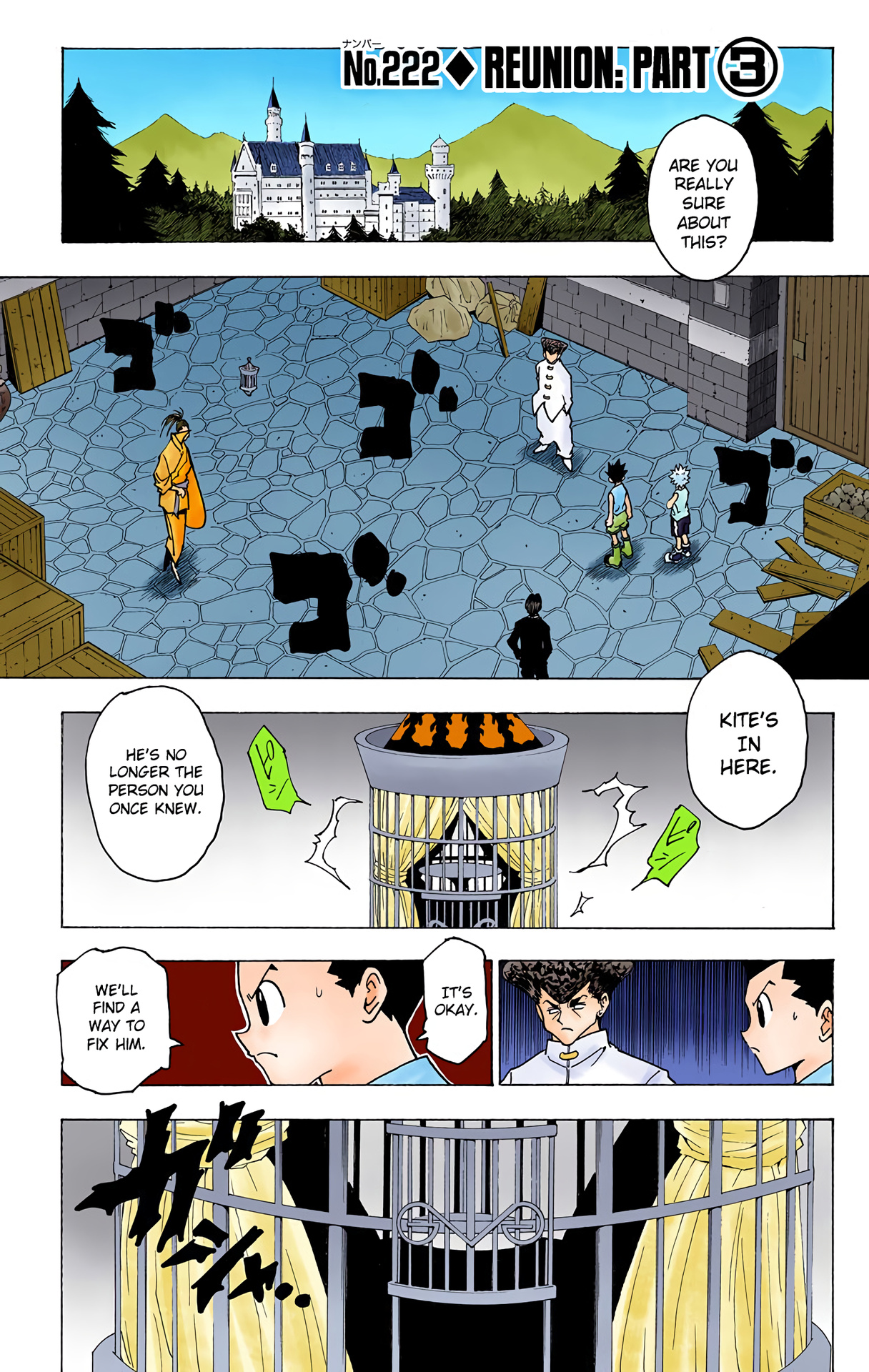 Hunter X Hunter Full Color - Vol.21 Chapter 222: Reunion: Part 3