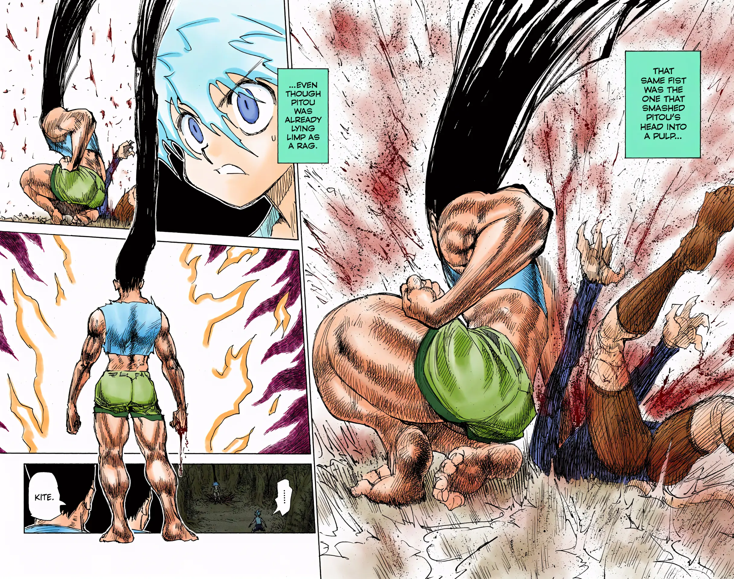 Hunter X Hunter Full Color - Vol.29 Chapter 307: Loss