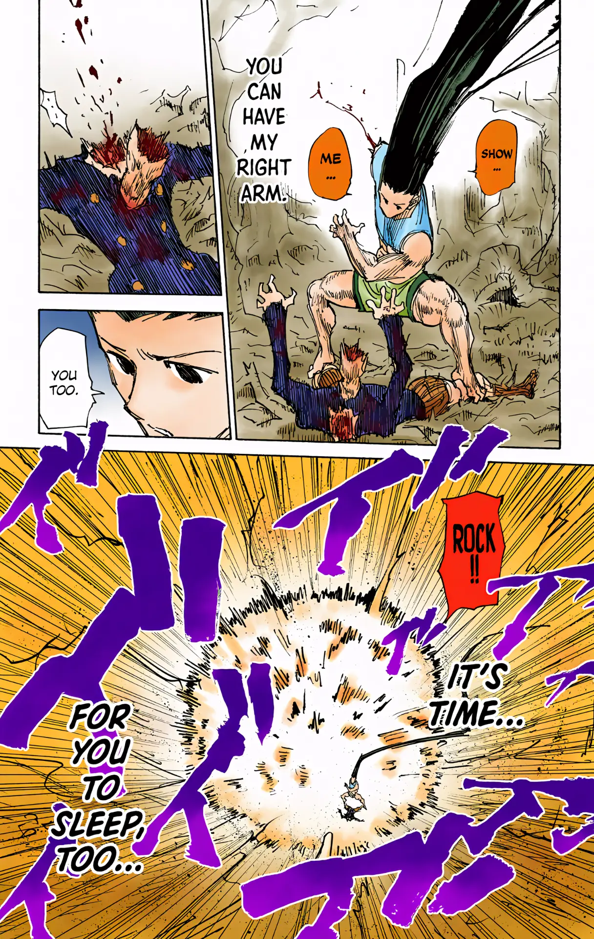 Hunter X Hunter Full Color - Vol.29 Chapter 307: Loss