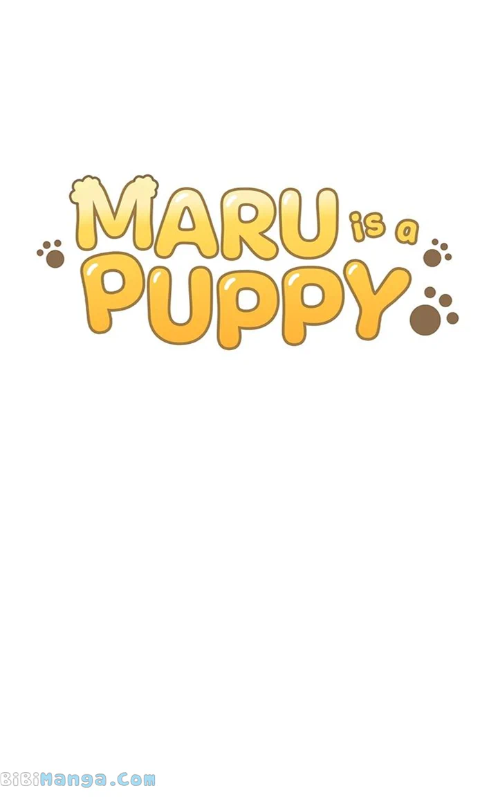 Maru Is A Puppy - Chapter 16