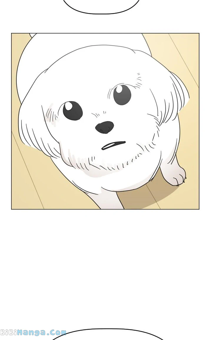 Maru Is A Puppy - Chapter 20