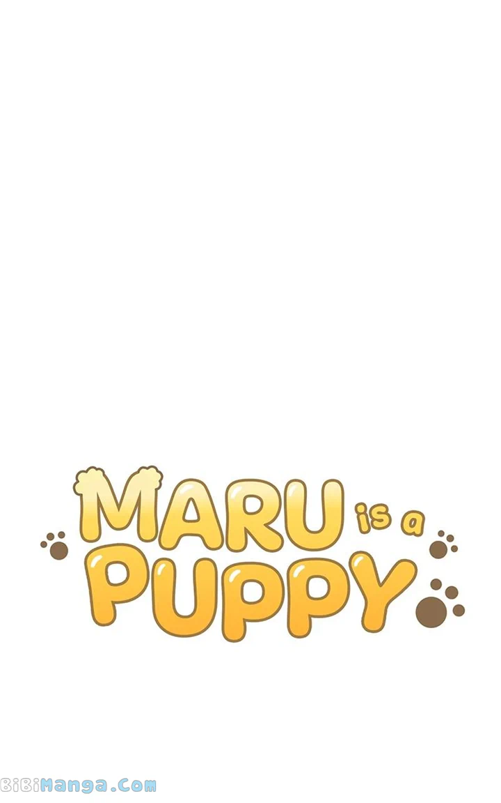 Maru Is A Puppy - Chapter 20