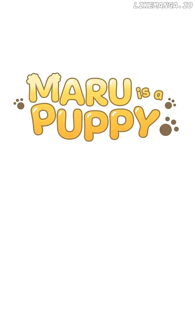 Maru Is A Puppy - Chapter 41