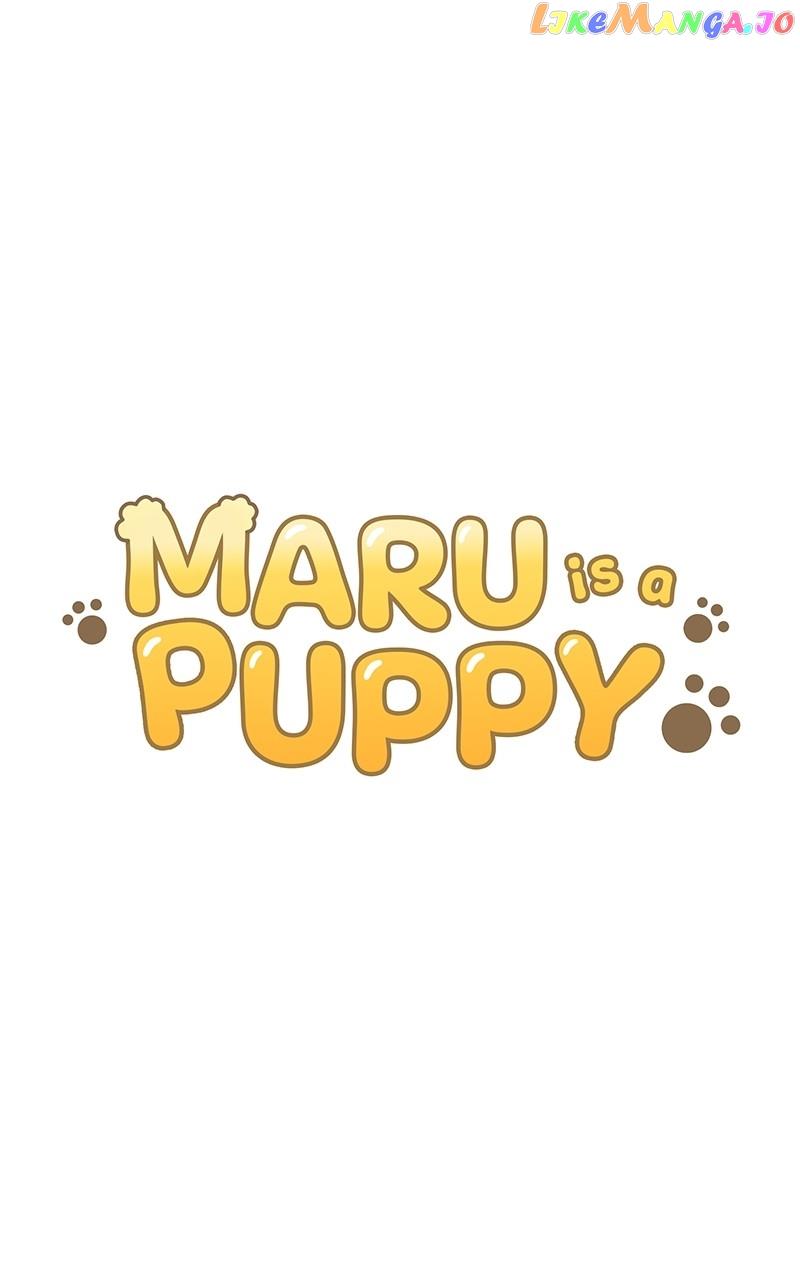 Maru Is A Puppy - Chapter 9