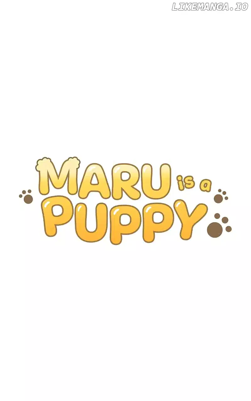 Maru Is A Puppy - Chapter 77