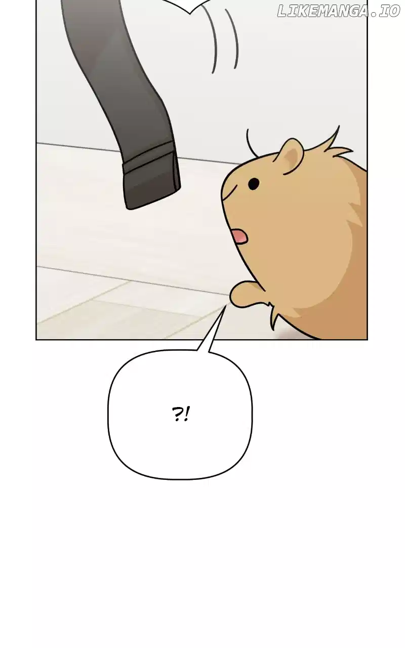 Maru Is A Puppy - Chapter 77