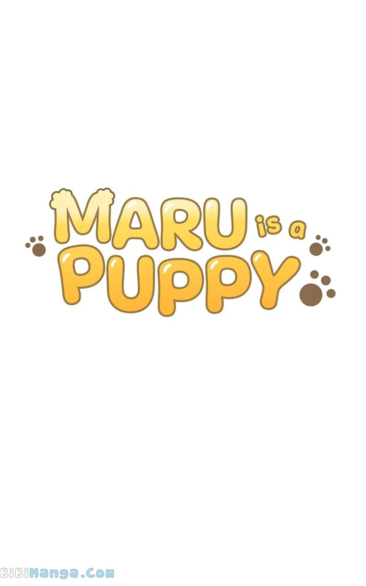 Maru Is A Puppy - Chapter 23