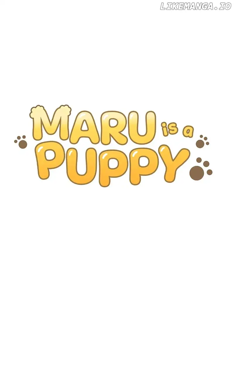 Maru Is A Puppy - Chapter 39