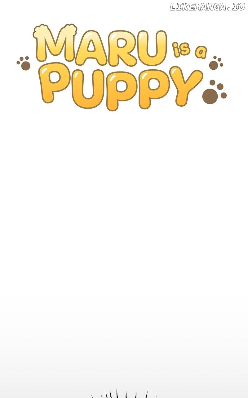 Maru Is A Puppy - Chapter 38