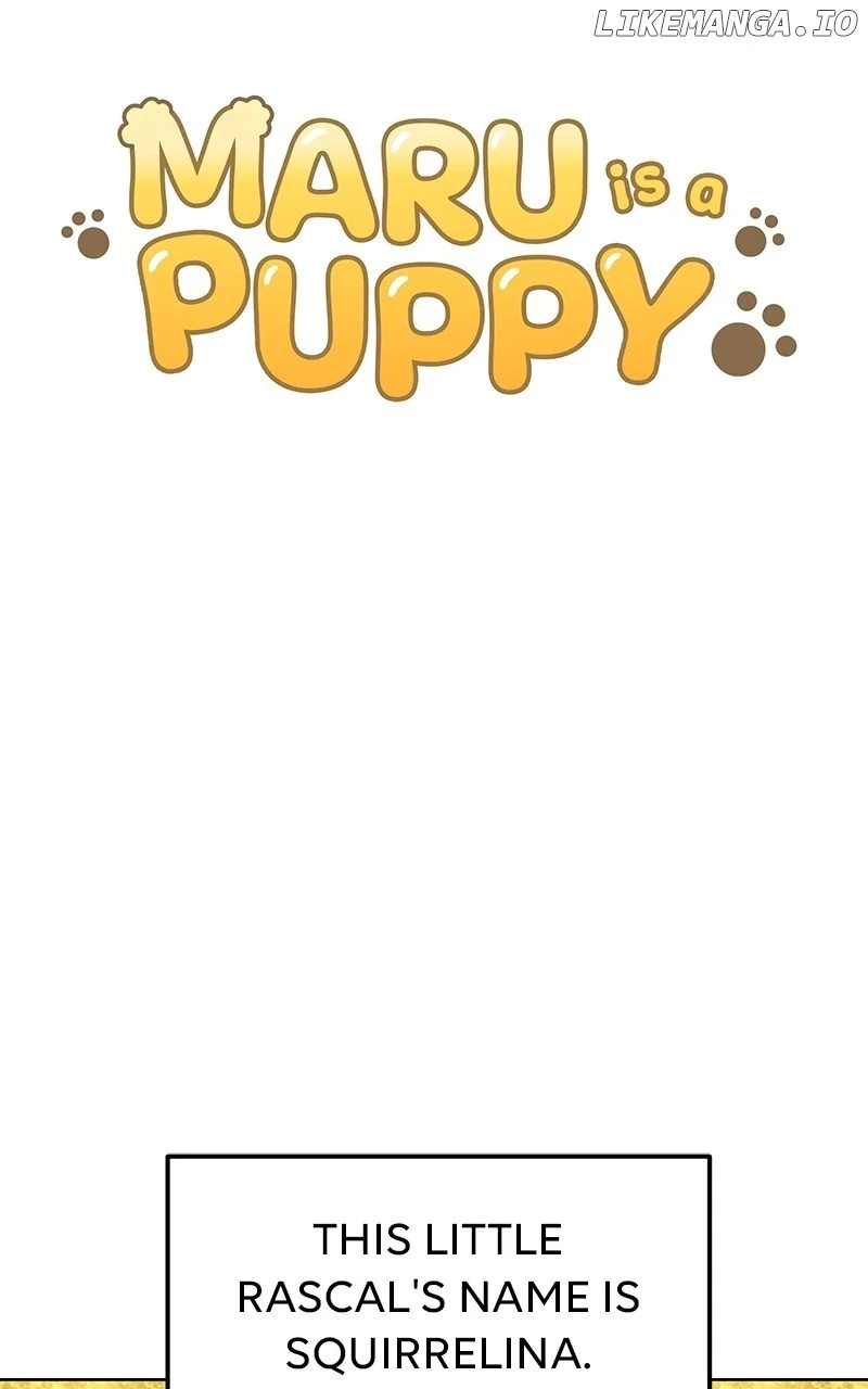 Maru Is A Puppy - Chapter 58