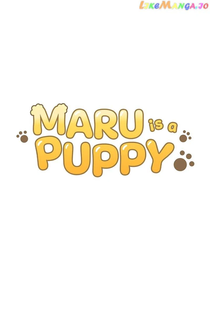 Maru Is A Puppy - Chapter 19