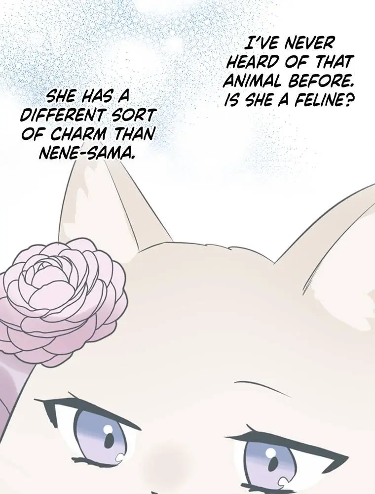 I Was A Sacrifice But Now I'm A Consort To A God?! ~All The Princesses Are Fluffy~ - Chapter 57