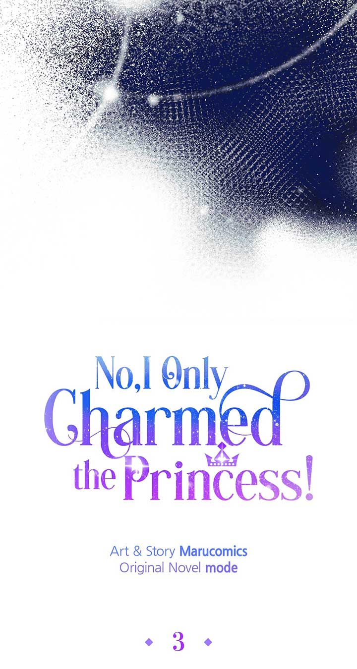 No, I Only Charmed The Princess! - Chapter 3