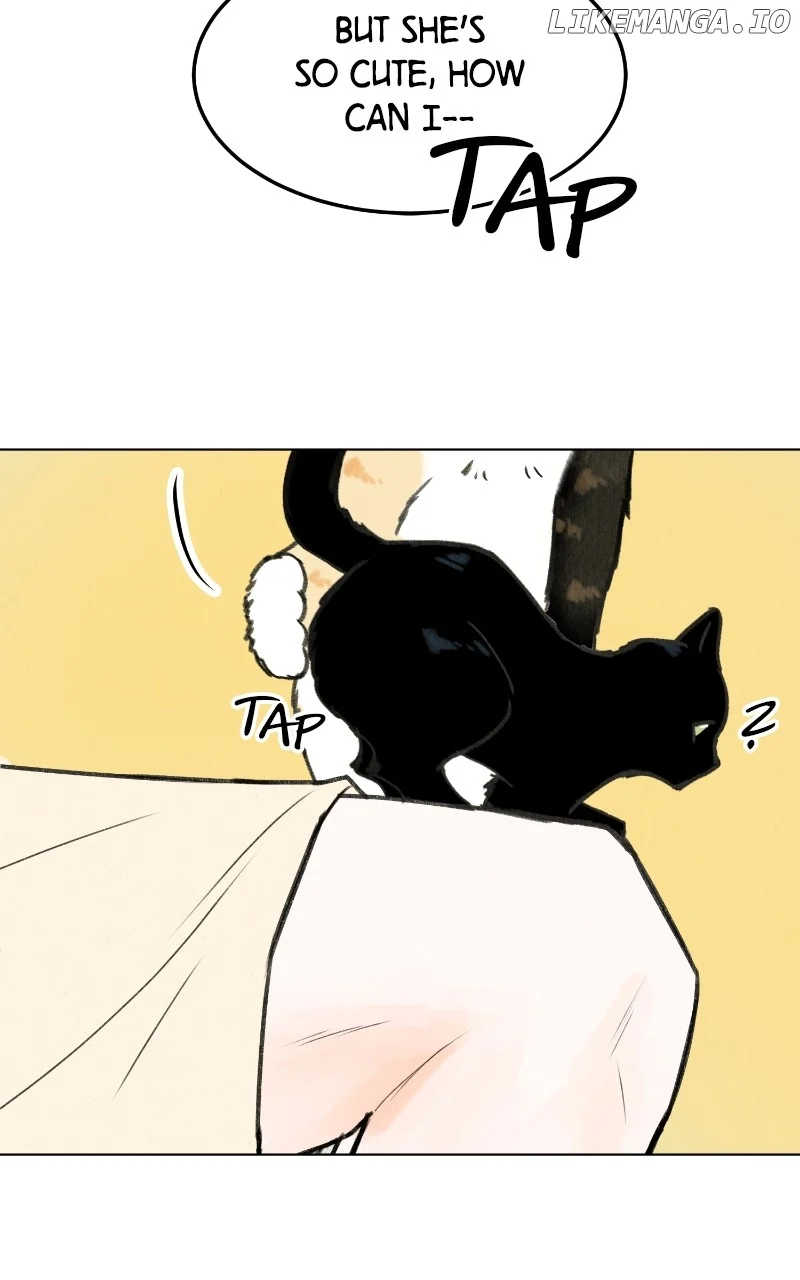 Want To See My Cat? - Chapter 48