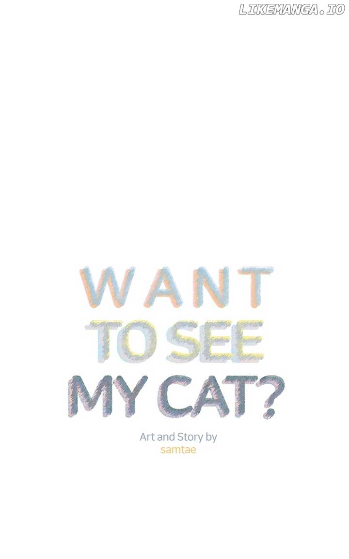 Want To See My Cat? - Chapter 41