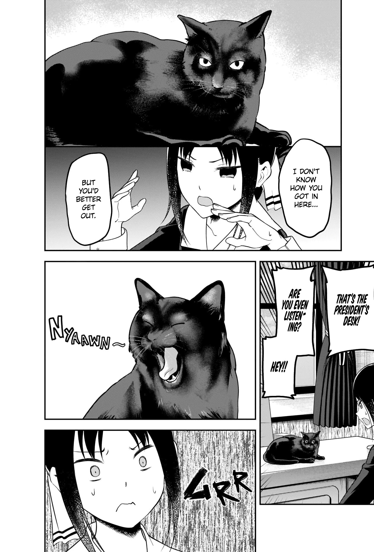 Kaguya-Sama Wa Kokurasetai - Tensai-Tachi No Renai Zunousen - Chapter 214: Kaguya-Sama Hates Cats