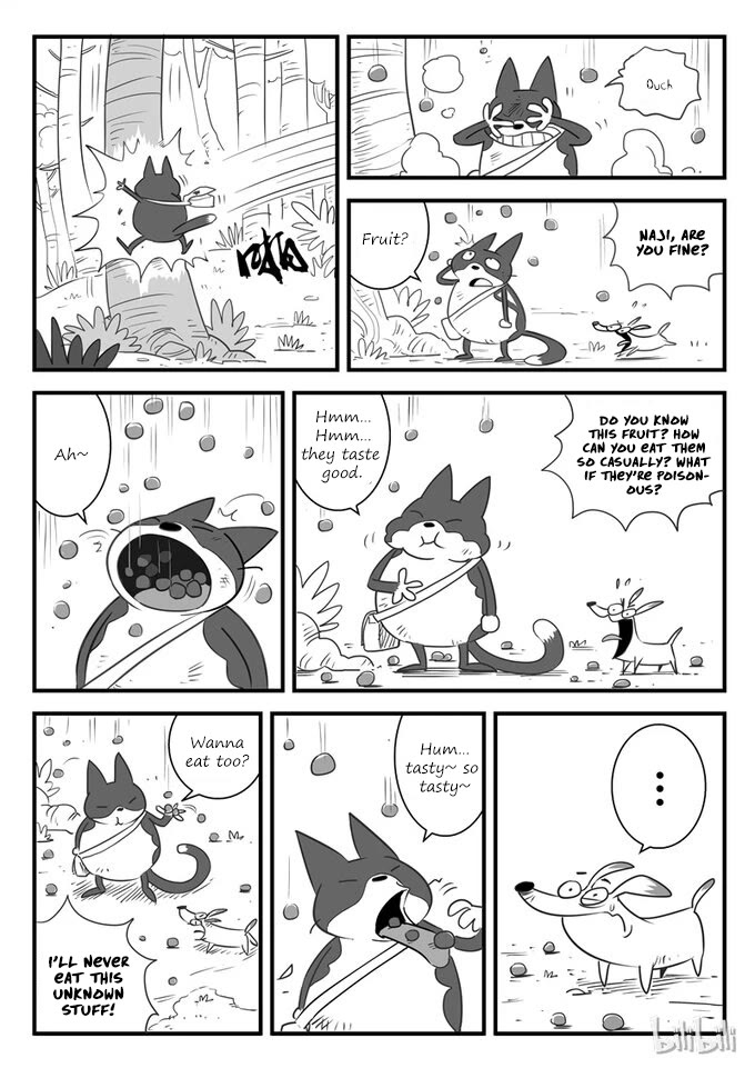 Shadow Cat - Chapter 8: Naji Island