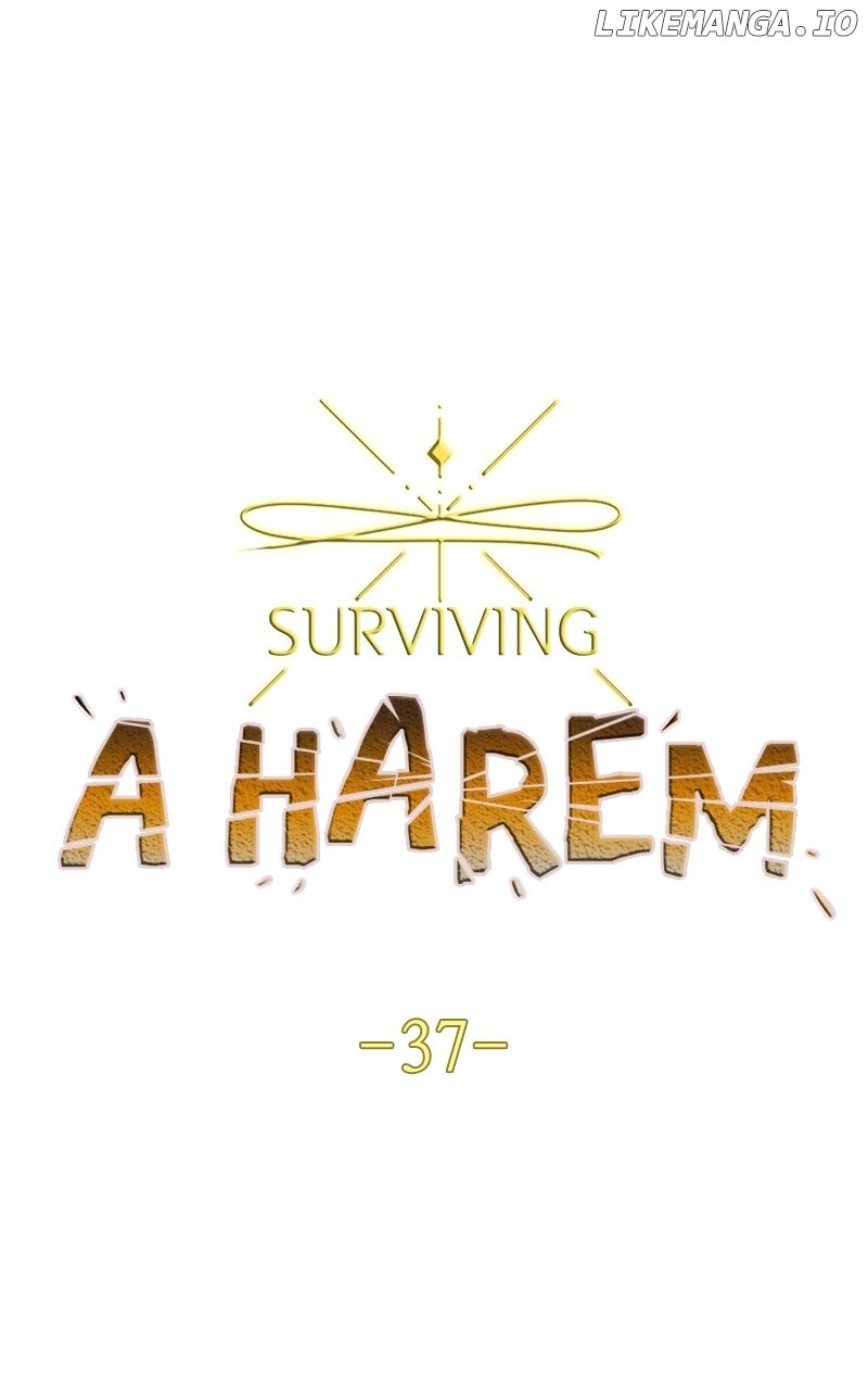 Surviving In A Harem - Chapter 37