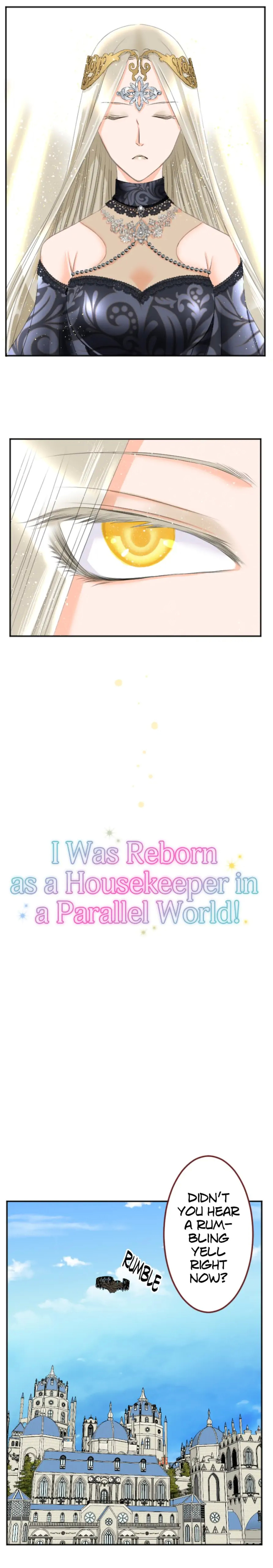 I Was Reborn As A Housekeeper In A Parallel World! - Chapter 63