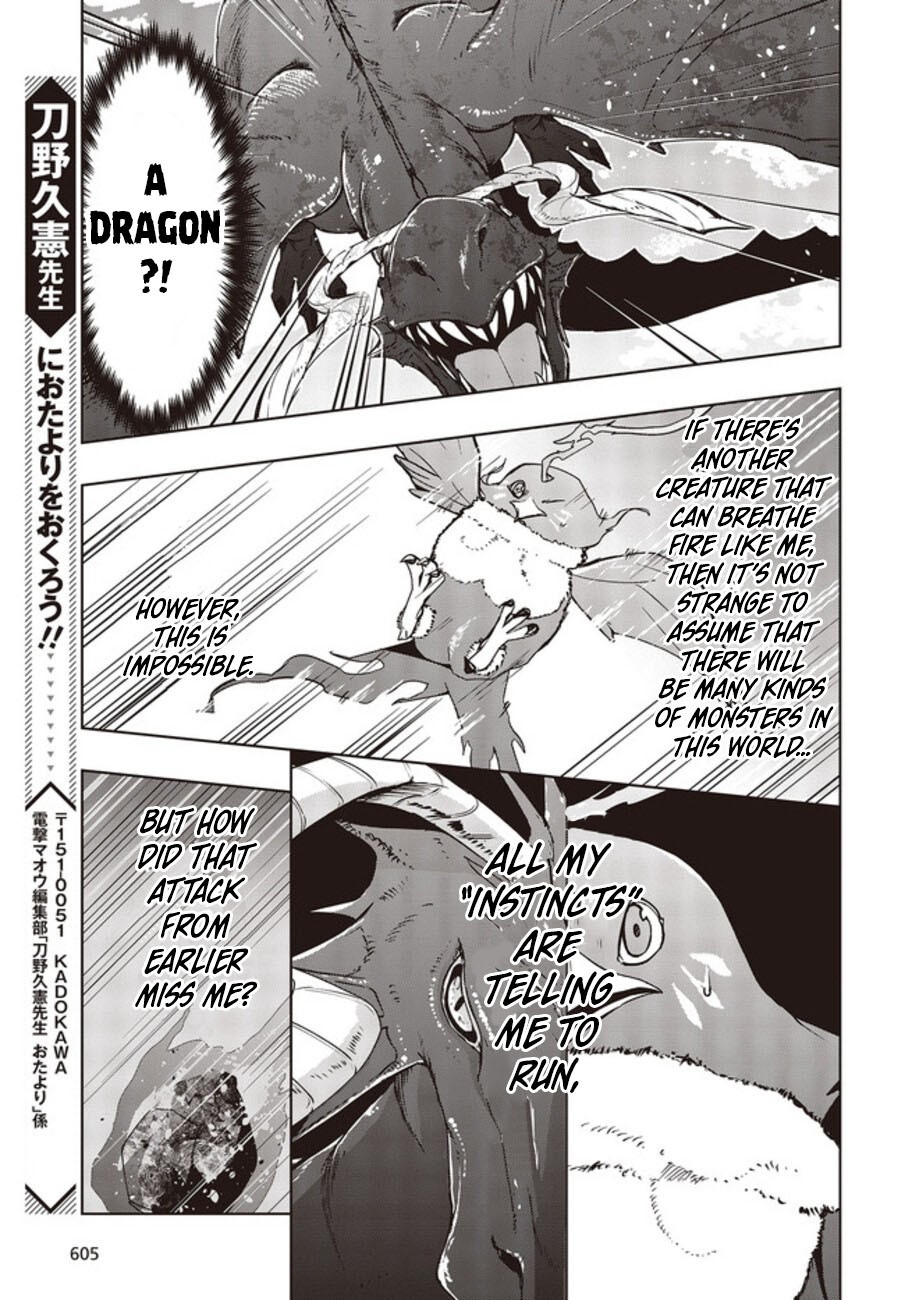 Reborn As A Phoenix: A Normal Bird Can't Beat A Dragon, Right? - Chapter 2