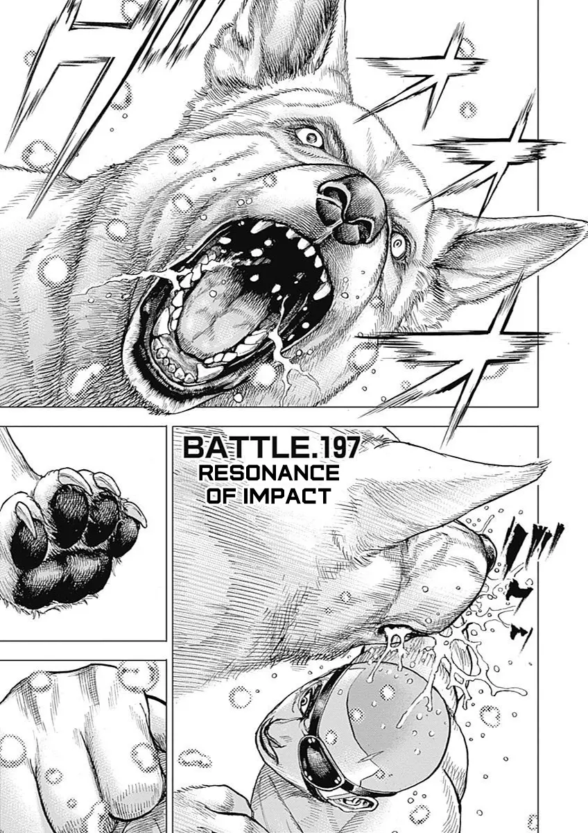 Tough Gaiden - Ryuu Wo Tsugu Otoko - Vol.17 Chapter 197: Resonance Of Impact