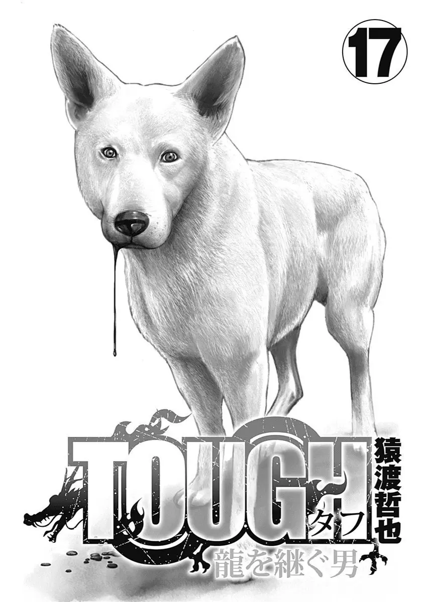 Tough Gaiden - Ryuu Wo Tsugu Otoko - Vol.17 Chapter 192