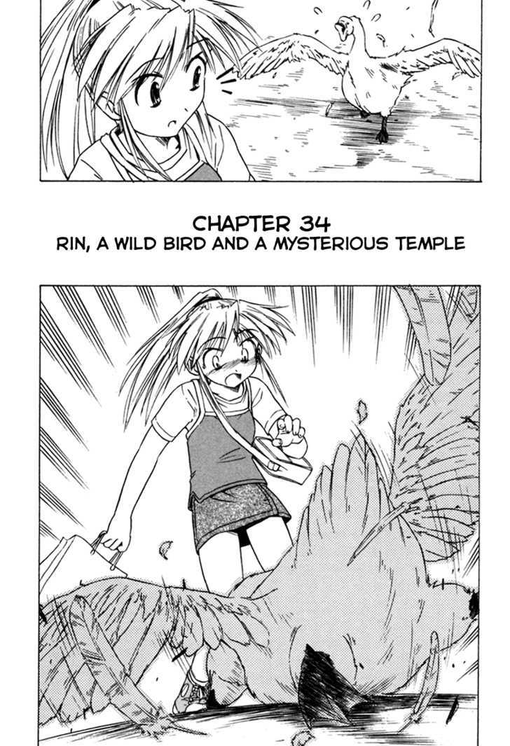 Narue No Sekai - Vol.5 Chapter 34 : Rin, A Wild Bird And A Mysterious Temple