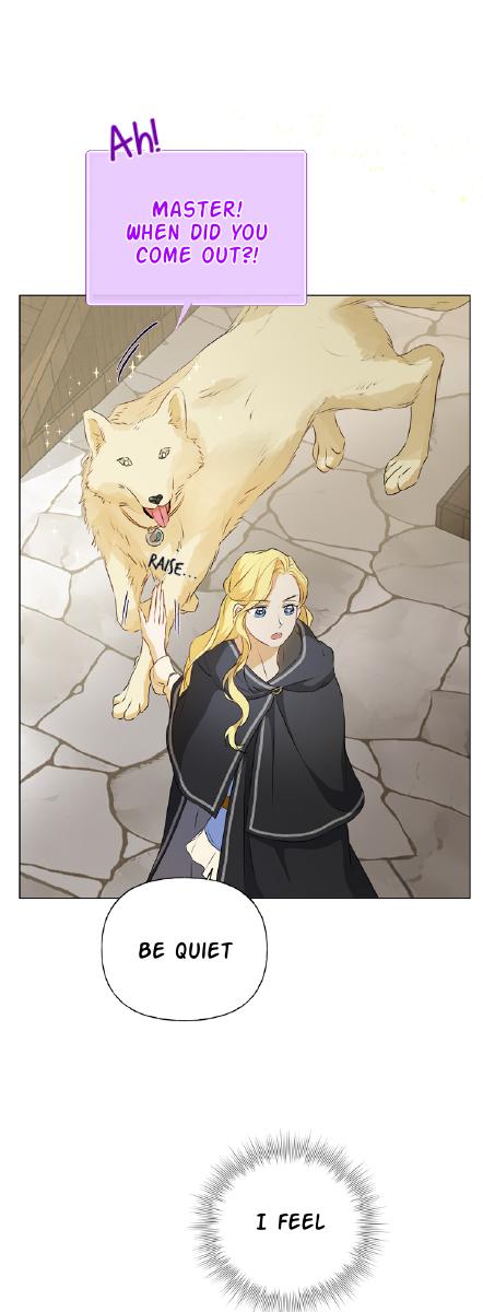 The Golden Haired Wizard - Chapter 66