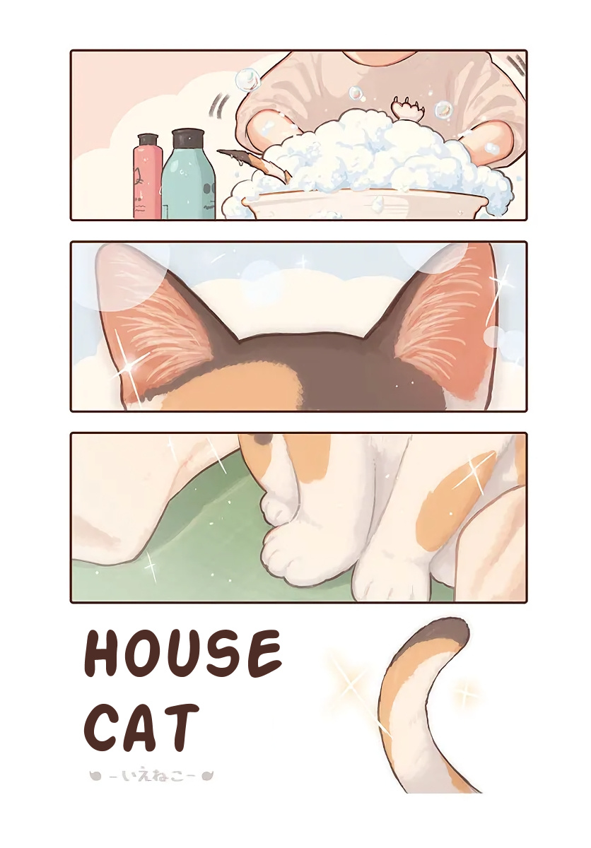 Kyou No Youjo - Chapter 17: House Cat