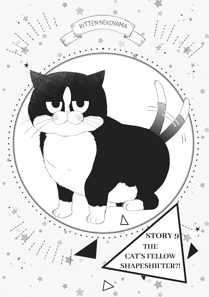 Cat And A Kiss - Chapter 9