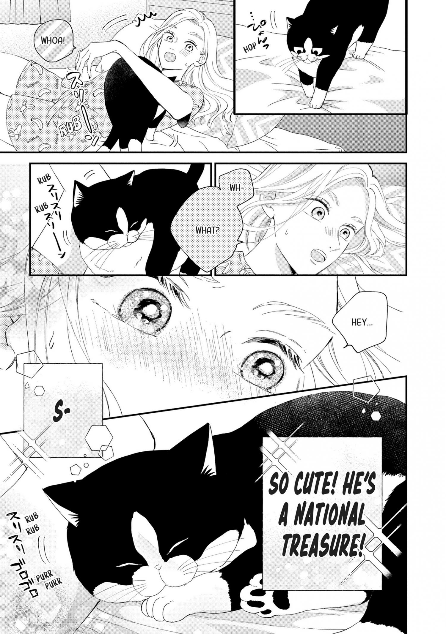 Cat And A Kiss - Chapter 15