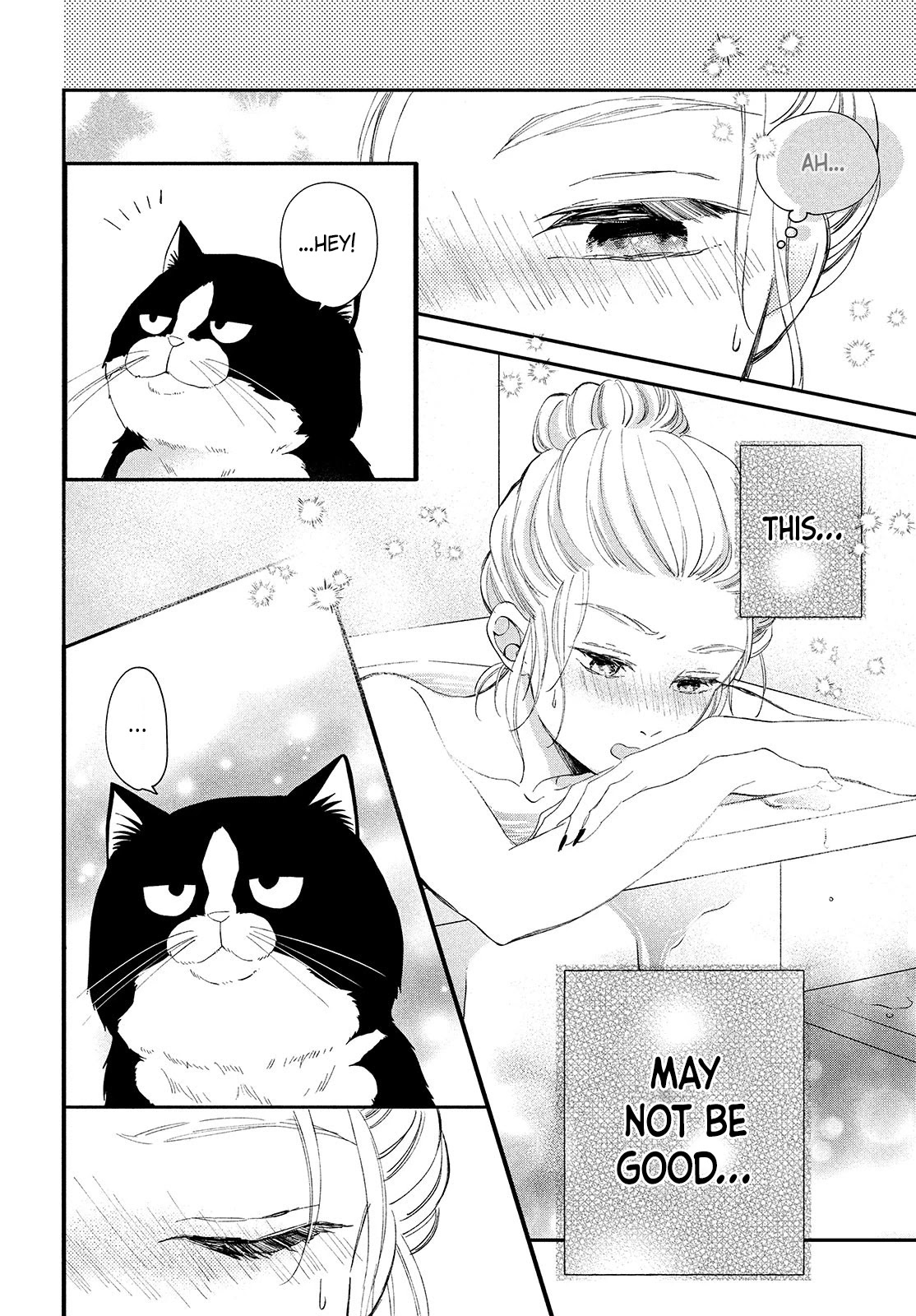 Cat And A Kiss - Chapter 3: Living With A Cat