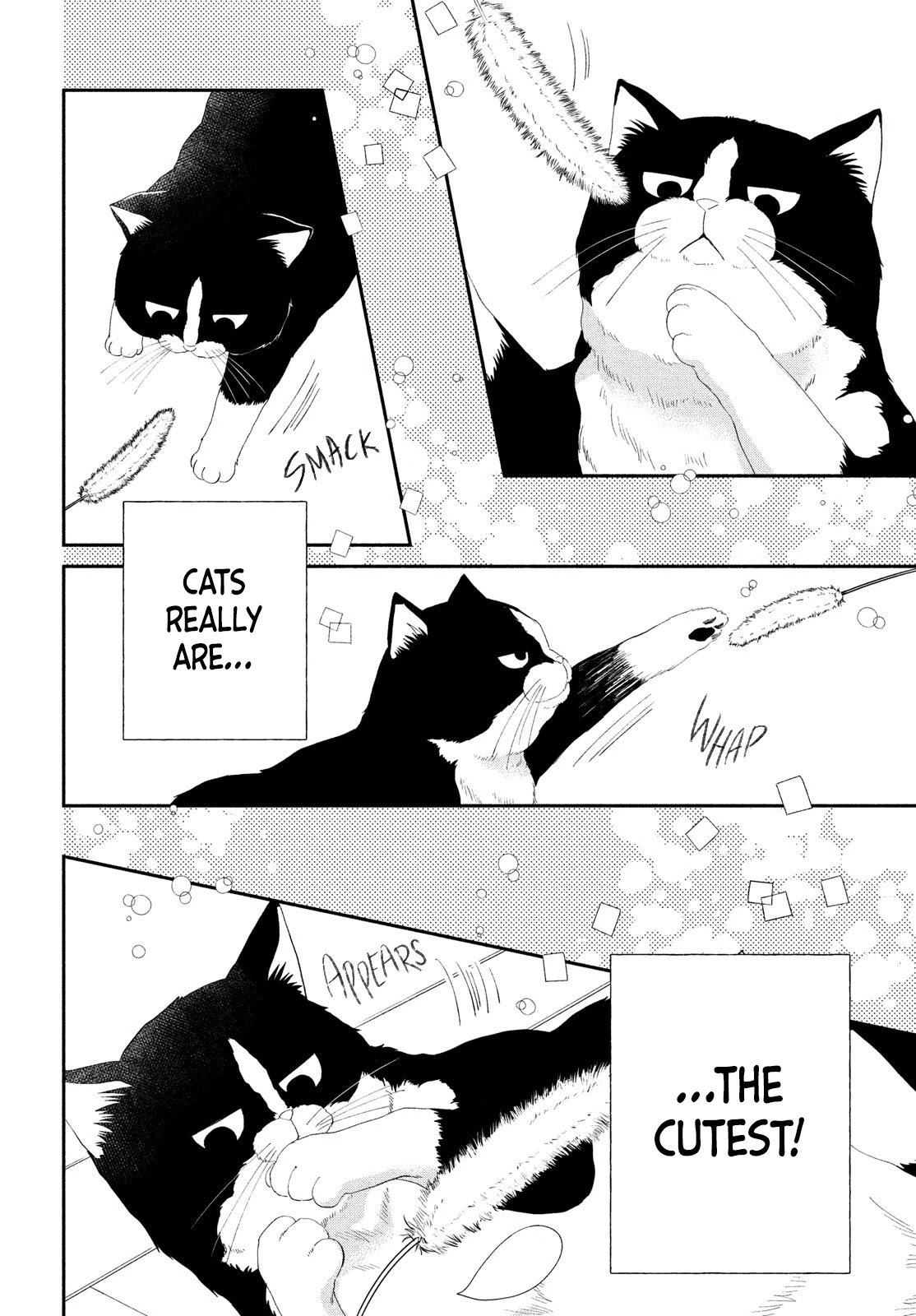 Cat And A Kiss - Chapter 2: A Cat And His Prey