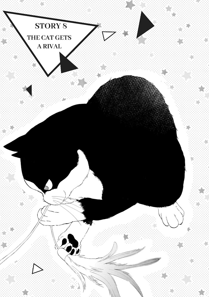 Cat And A Kiss - Chapter 8