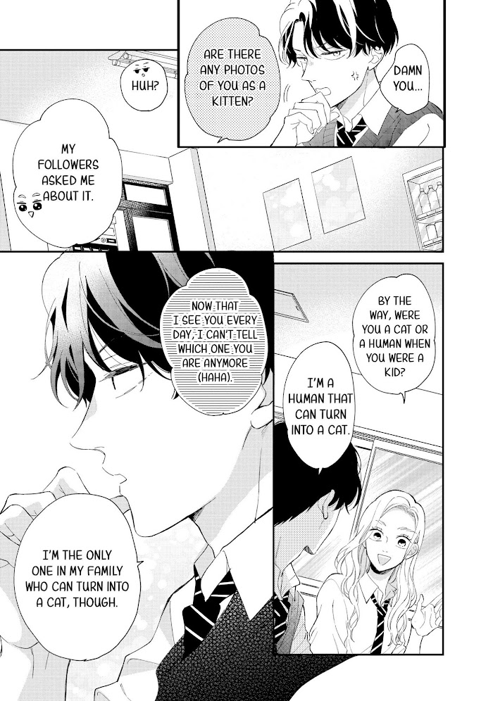 Cat And A Kiss - Chapter 8