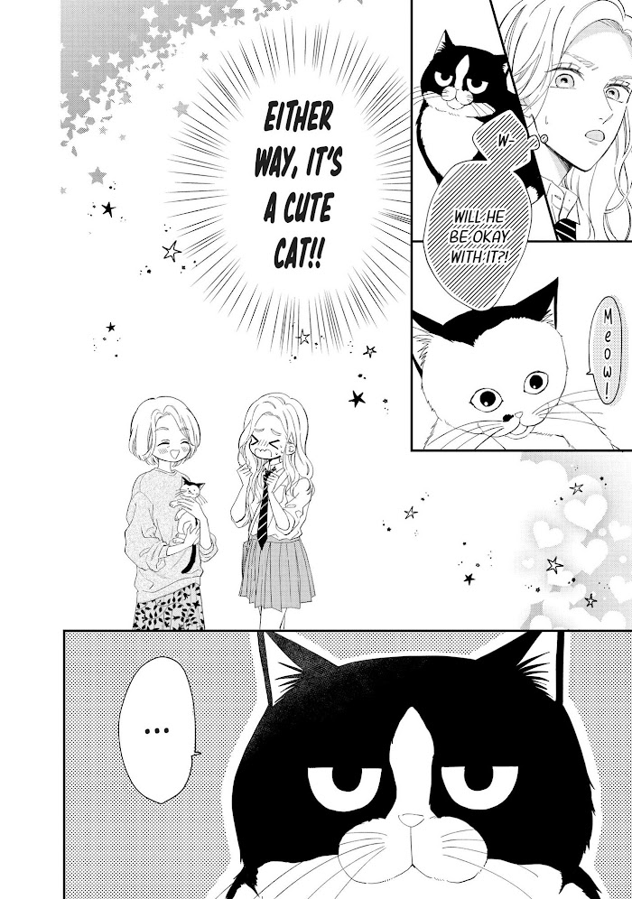 Cat And A Kiss - Chapter 8