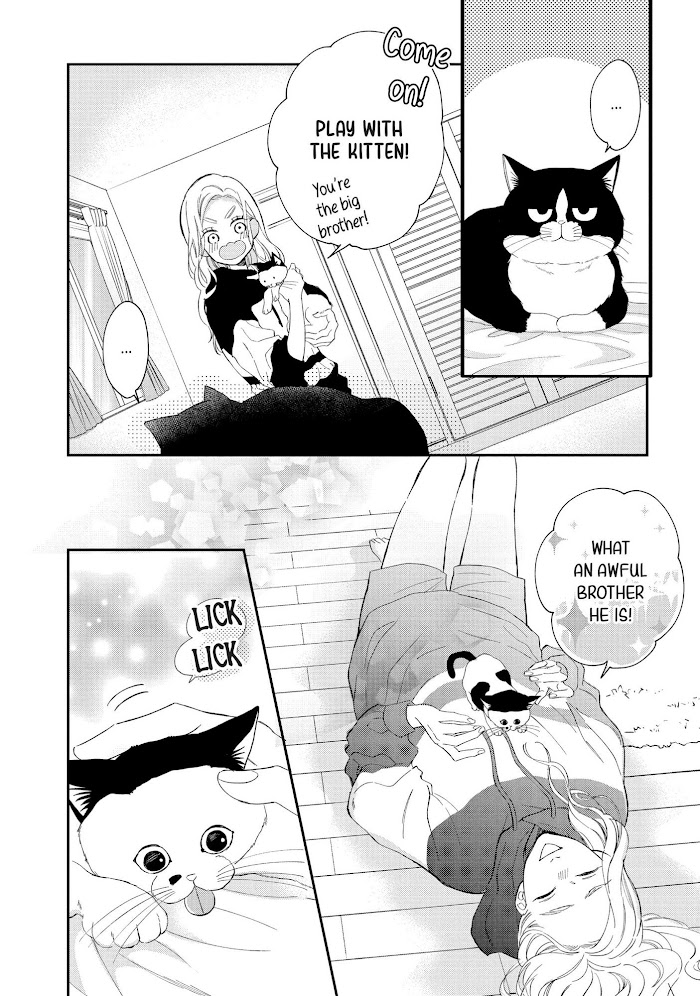 Cat And A Kiss - Chapter 8