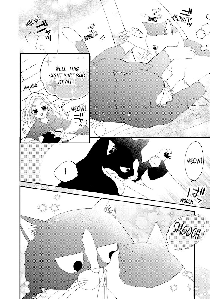 Cat And A Kiss - Chapter 8