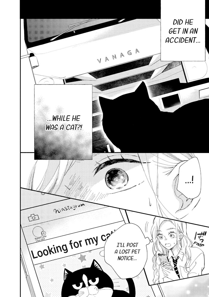 Cat And A Kiss - Chapter 8