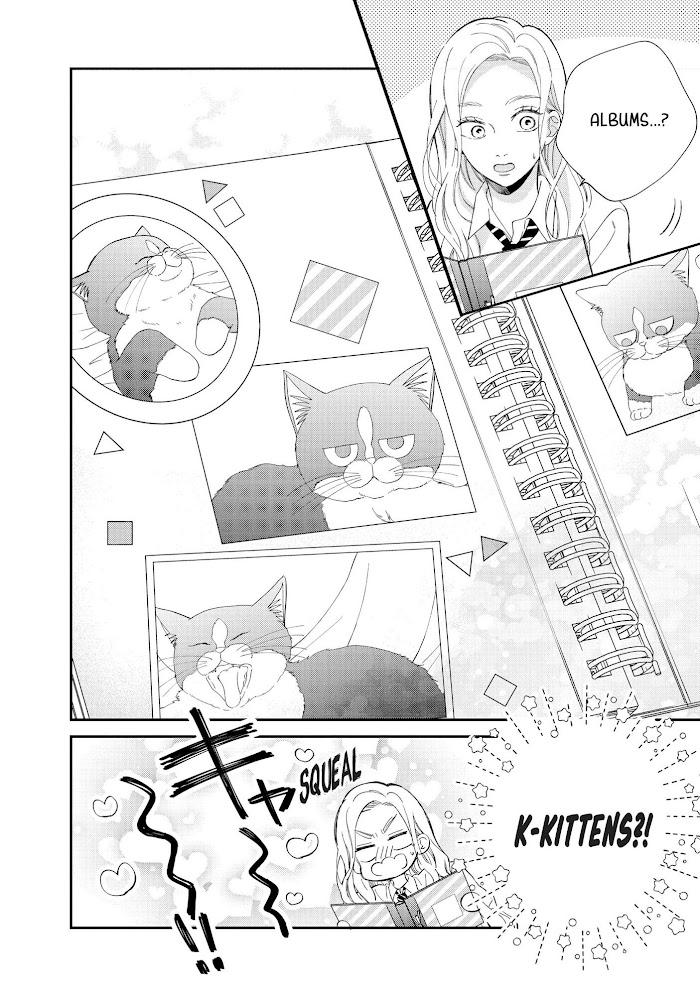 Cat And A Kiss - Chapter 8