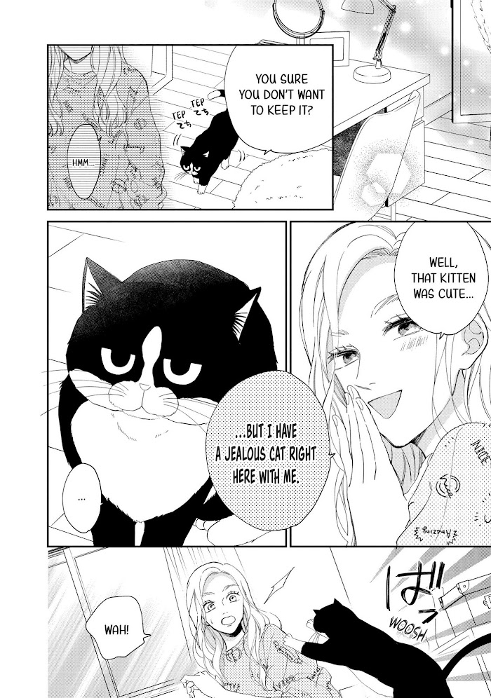 Cat And A Kiss - Chapter 8