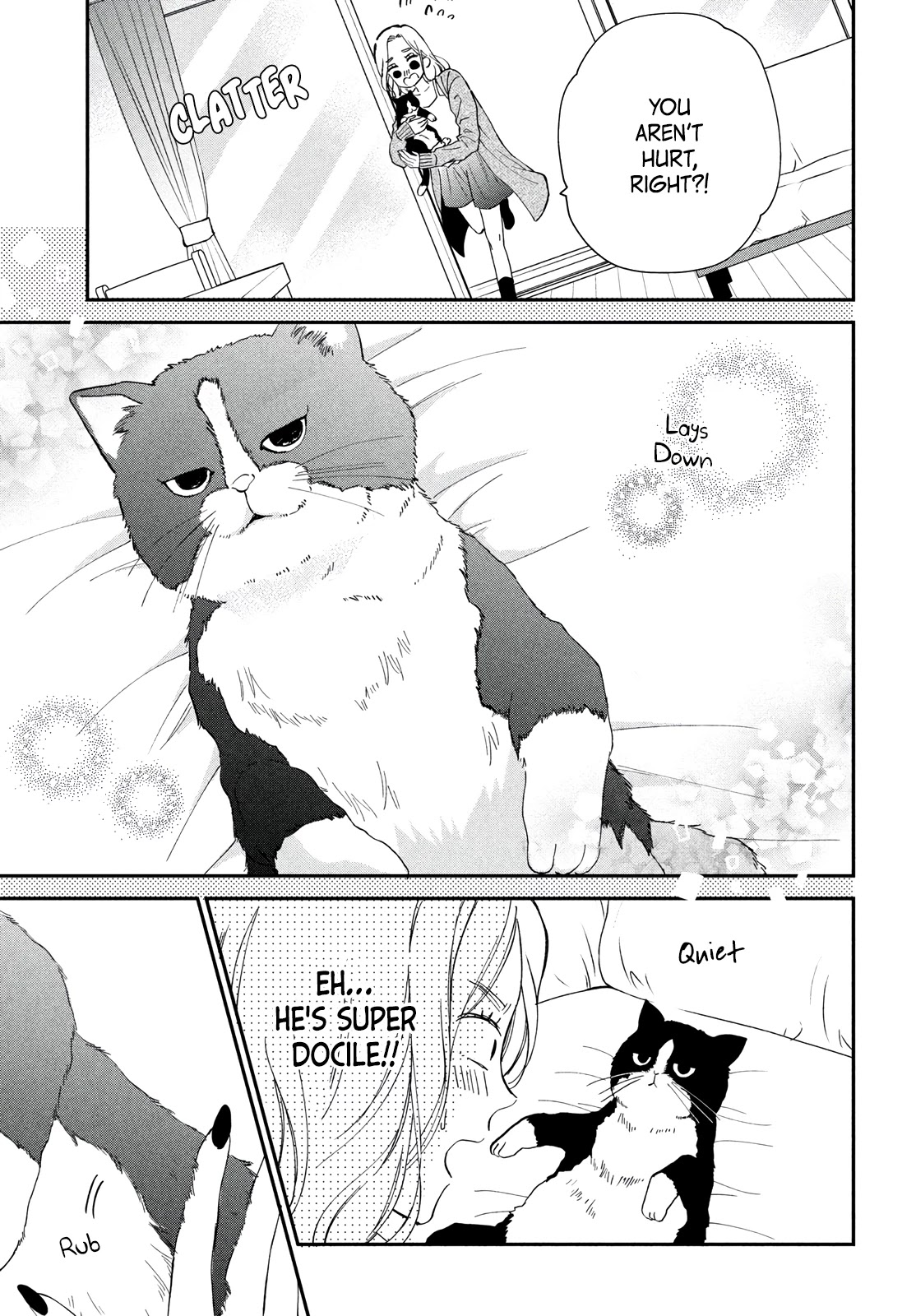 Cat And A Kiss - Chapter 1: The Cat And The Queen