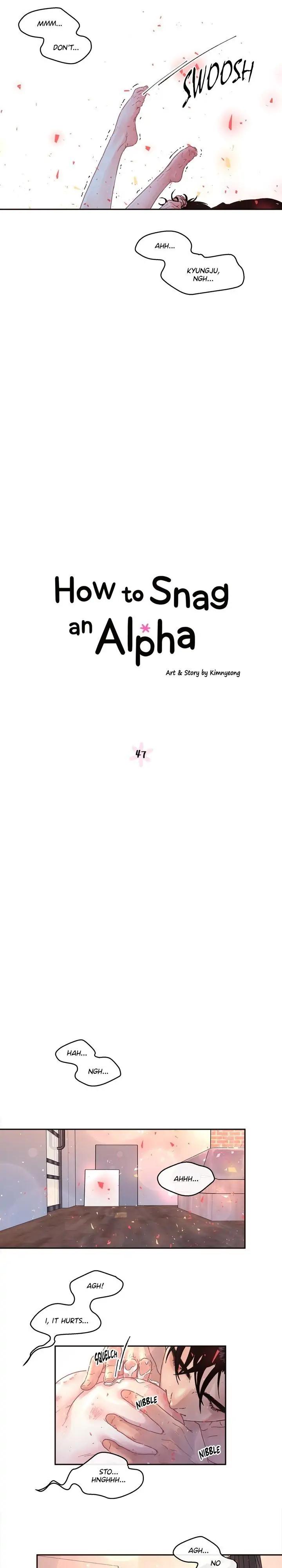 How To Chase An Alpha - Season.2  Chapter 47